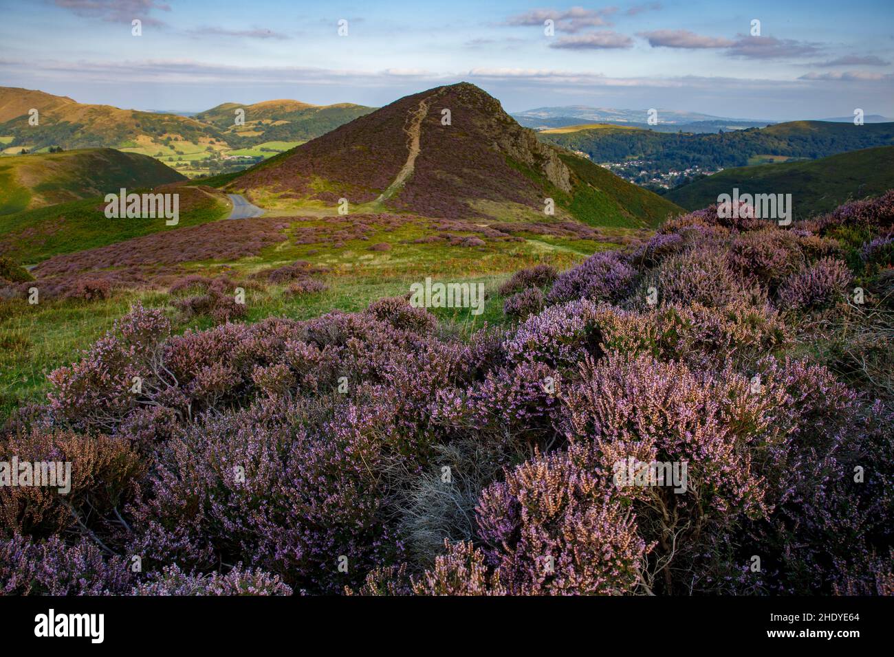 Shropshire Hügel Stockfoto