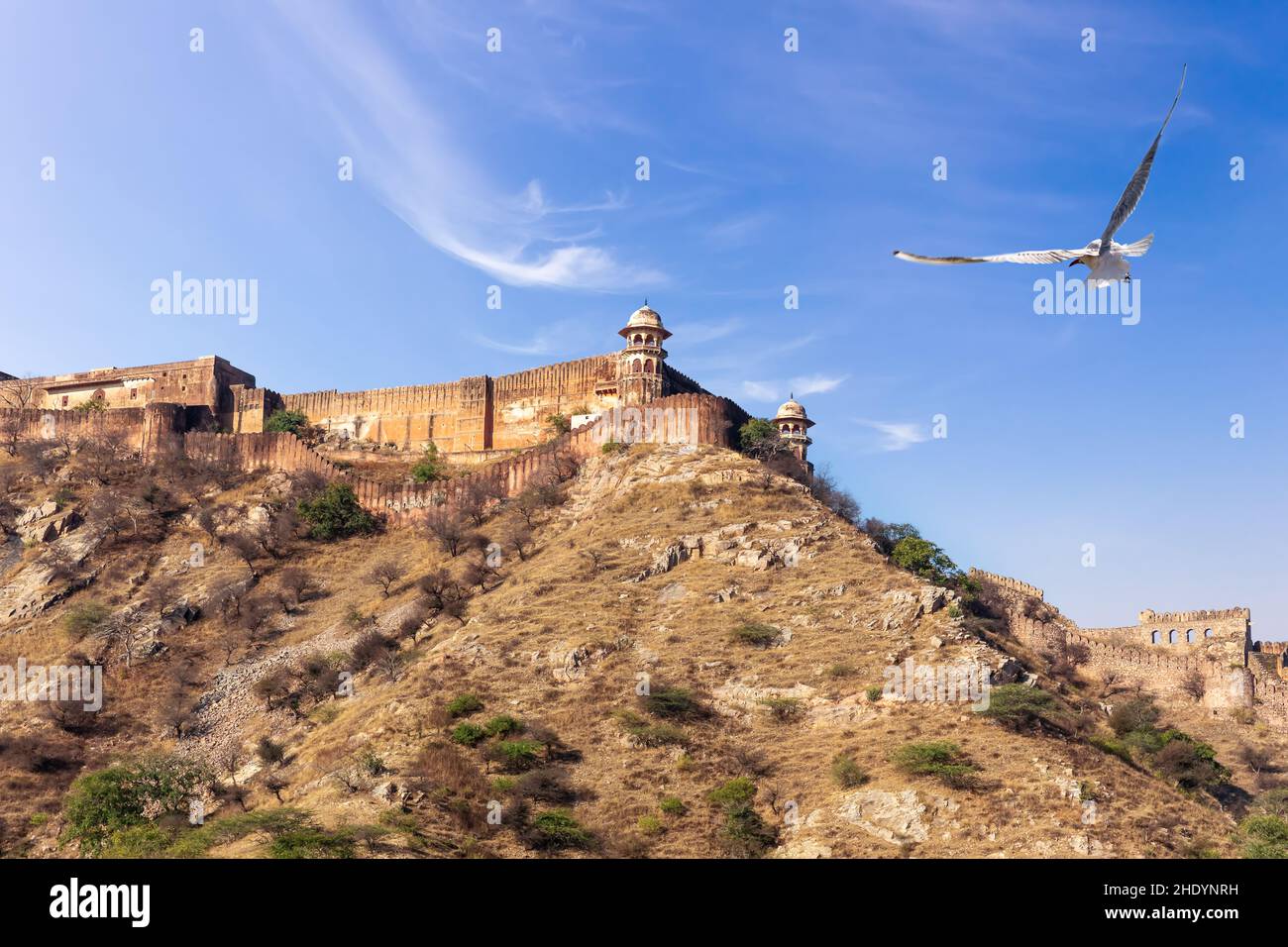 indien, rajasthan, Amber Fort, amer, indian, indias, Rajasthans, bernsteinfarbene Festungen Stockfoto