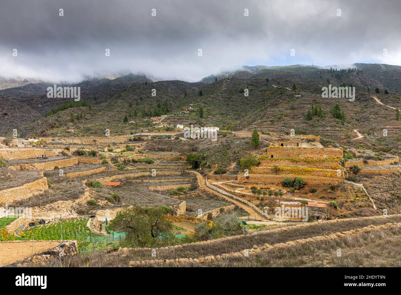 Bergdorf und Bauernhöfe Terrassen von Las Fuentes, Guia de Isora, Teneriffa, Kanarische Inseln, Spanien Stockfoto