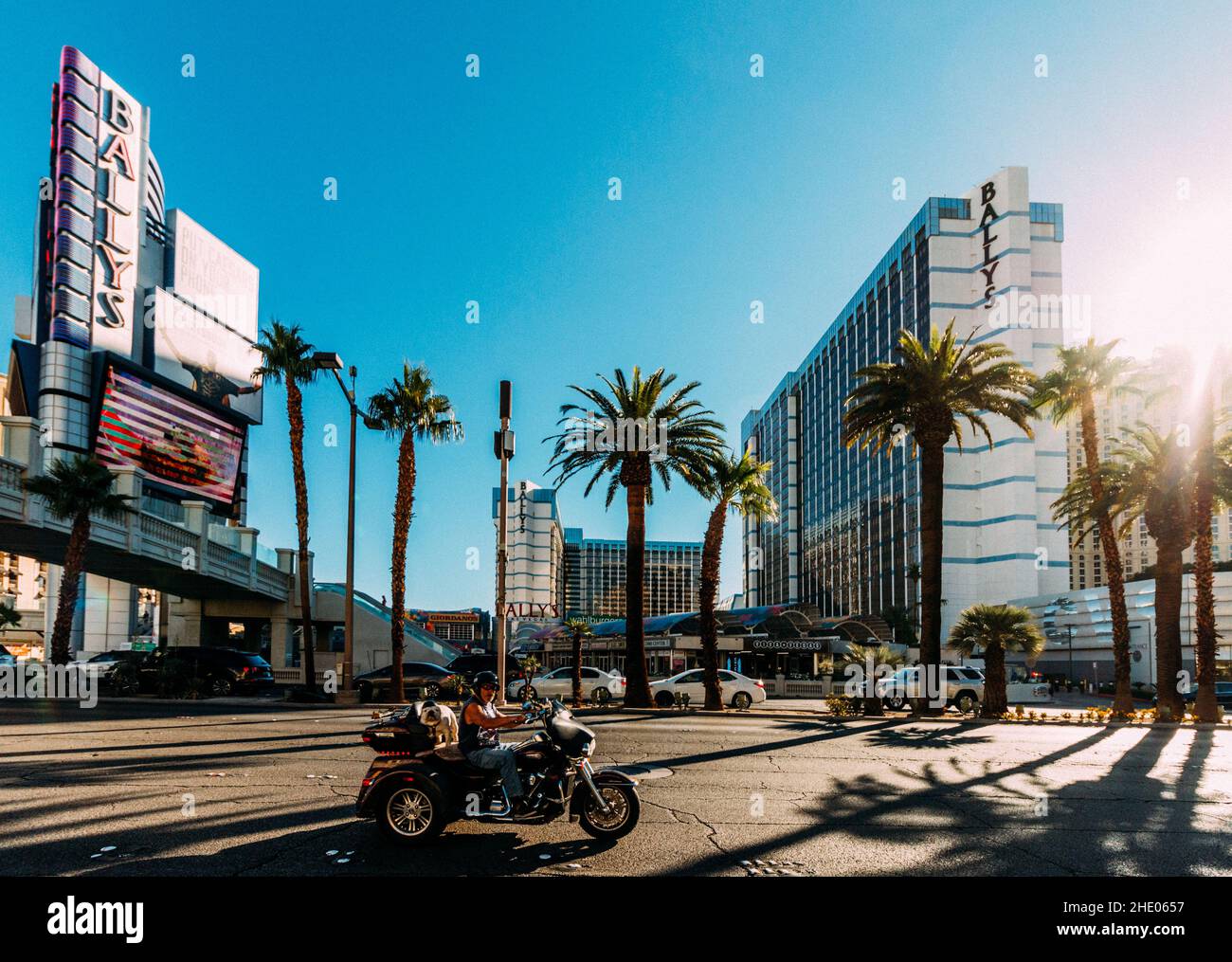 Szenische Aufnahme eines Mannes auf einem Motorrad mit einem Hund auf dem Las Vegas Strip in Nevada, USA Stockfoto