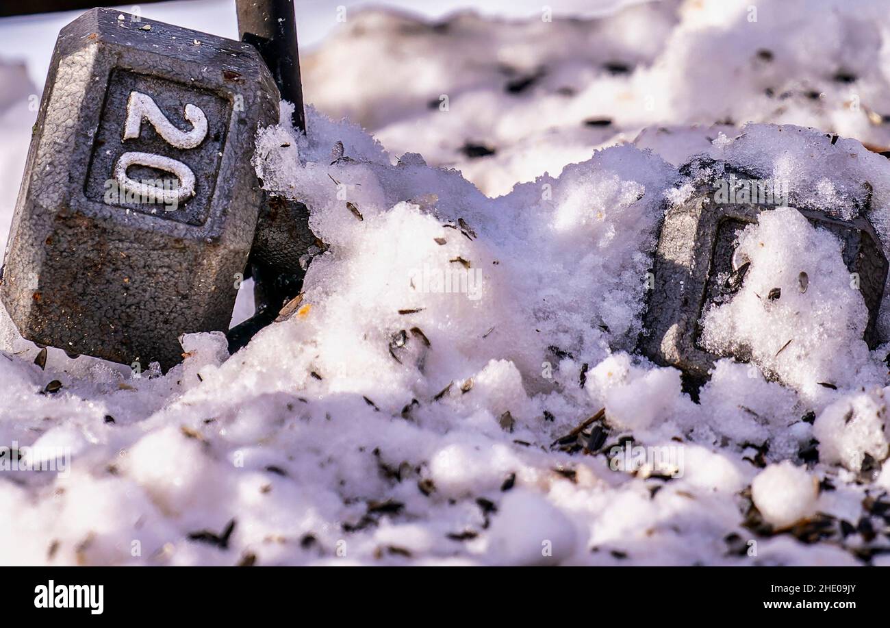 Zwanzig Pfund im Schnee. Langhantel als Unterstützung für ein Vogelfutterhäuschen verwendet Stockfoto