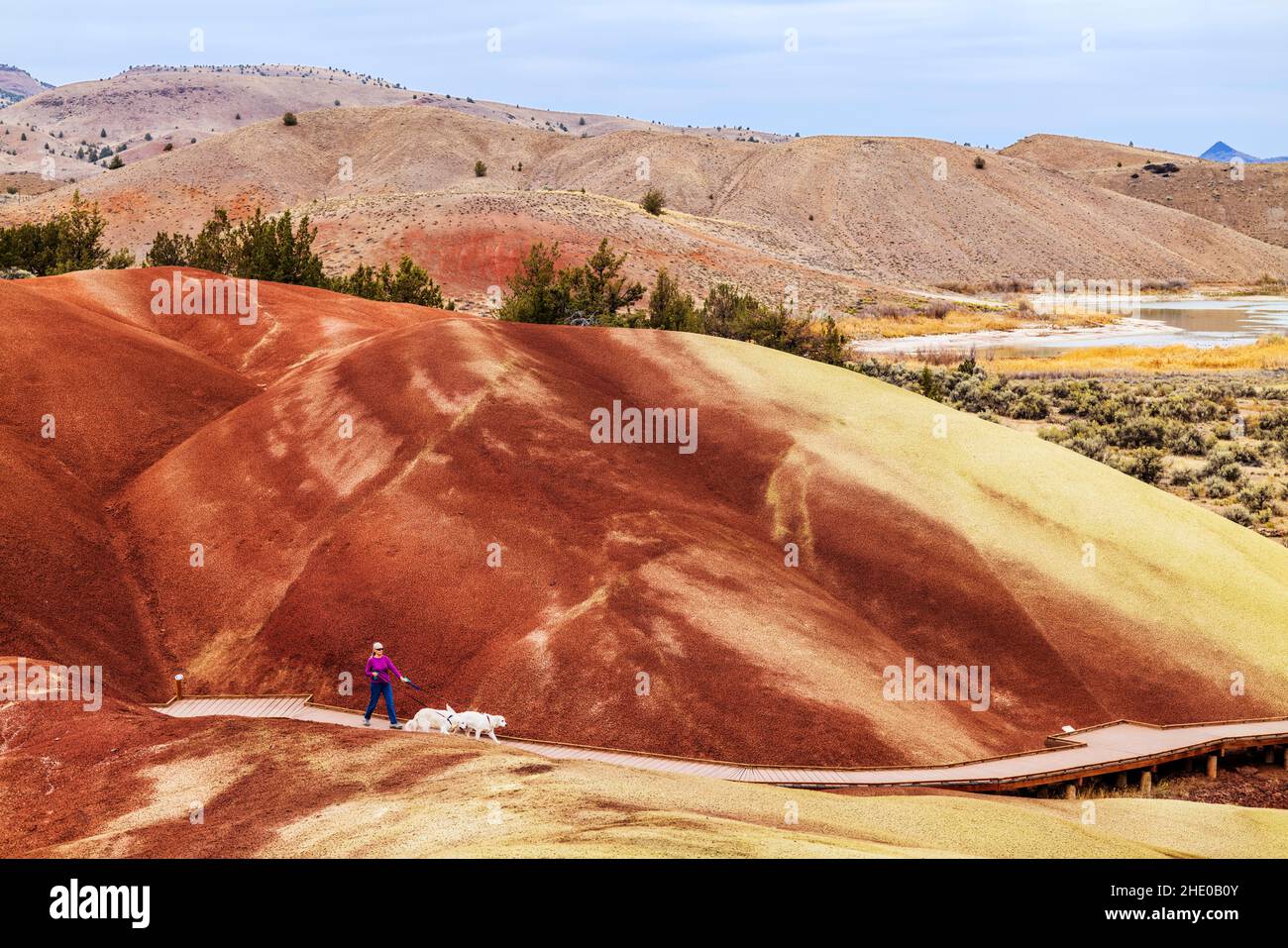 Besucher wandern weiße Hunde; Painted Hills; geologische Stätte; John Day Fossil Beds National Monument; in der Nähe von Mitchell; Oregon; USA Stockfoto