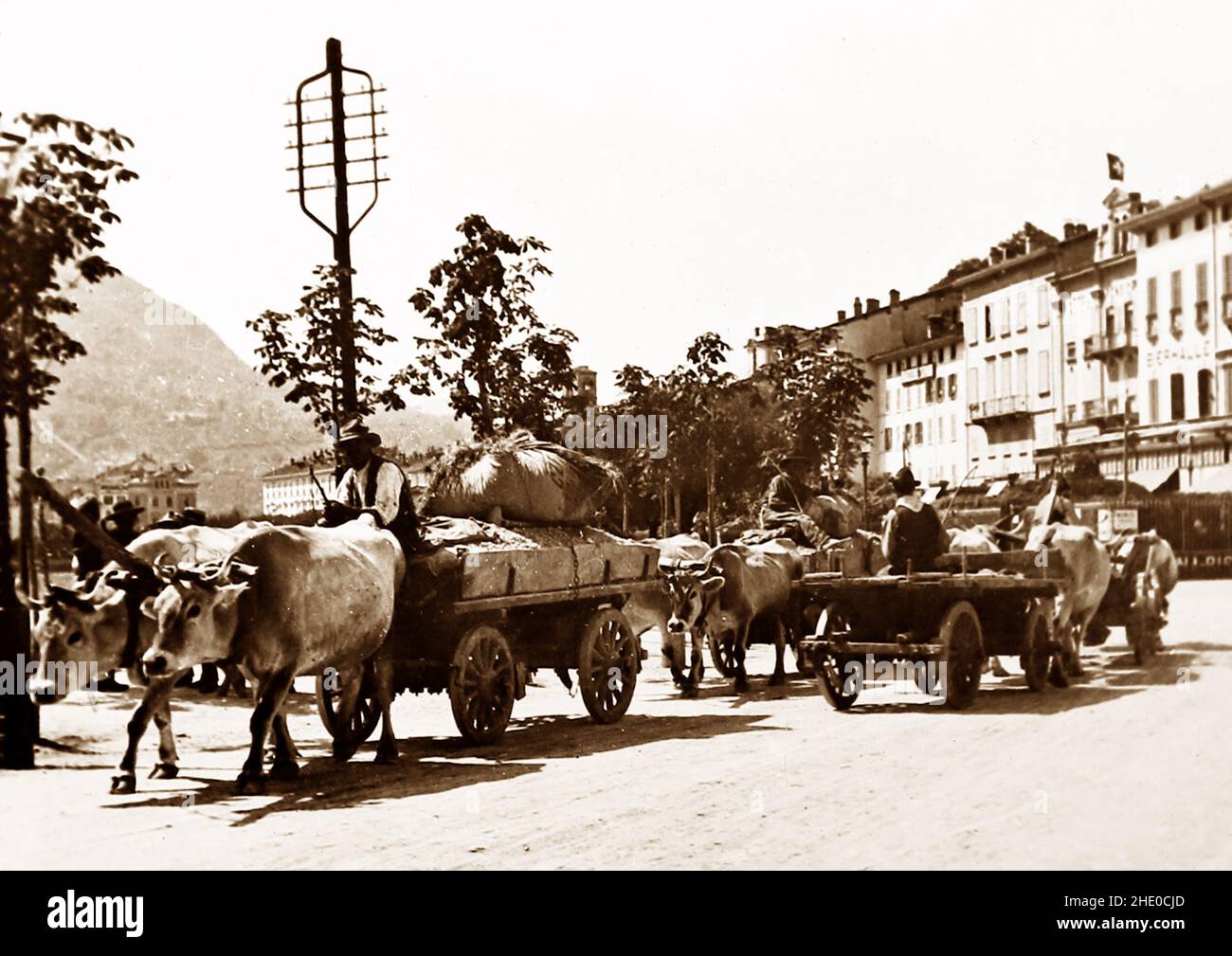 Bullock Cart, Lugano, Schweiz, viktorianische Zeit Stockfoto