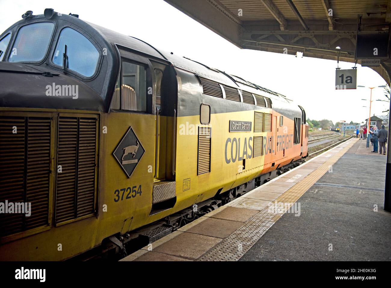A Colas Rail BR Class 37 Diesel-Electric locomotiveno 37116 Cardif Canton' Passing through Worcester Strauch Hill Railway Station Stockfoto