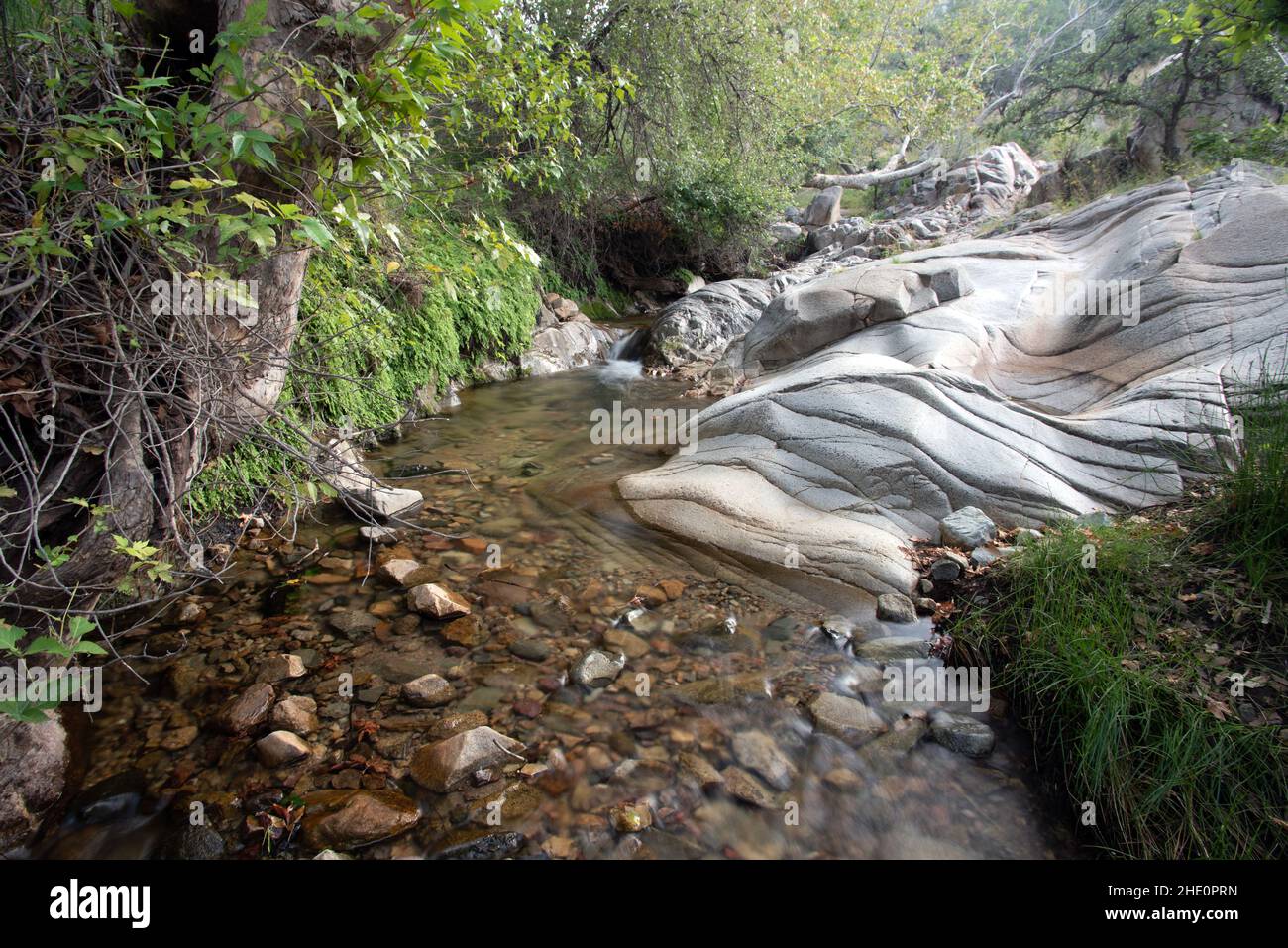 Madera Creek Stockfoto