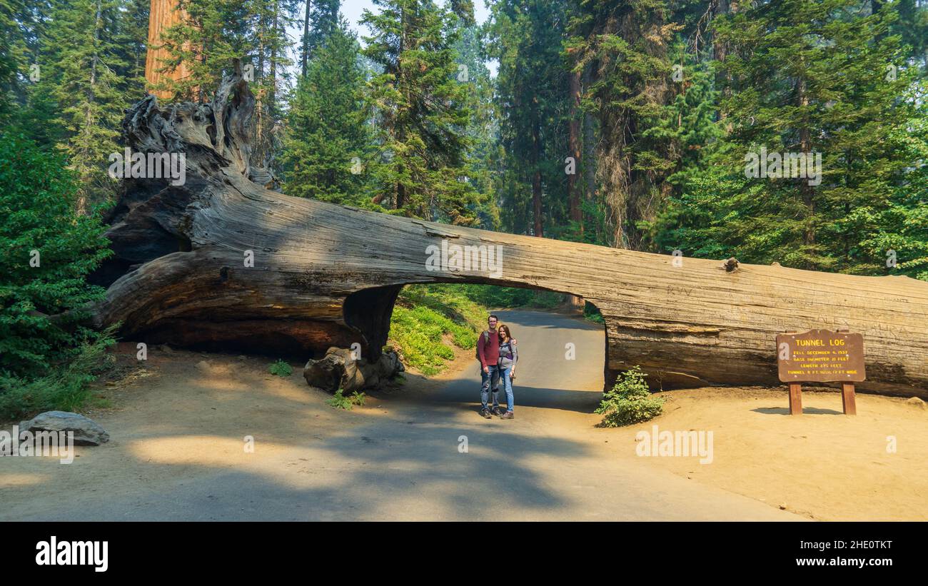 Wunderschöne Aufnahme eines Paares und des Tunnel Log des Sequoia Nationalparks im Hintergrund Stockfoto