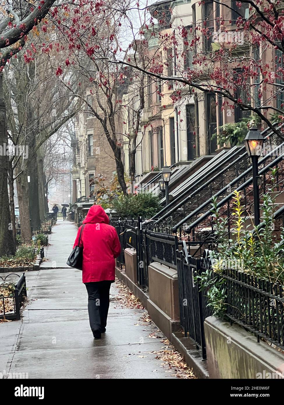 Ruhiger regnerischer Morgen in einer berühmten Wohnstraße im Park Slope-Viertel von Brooklyn, New York. Stockfoto