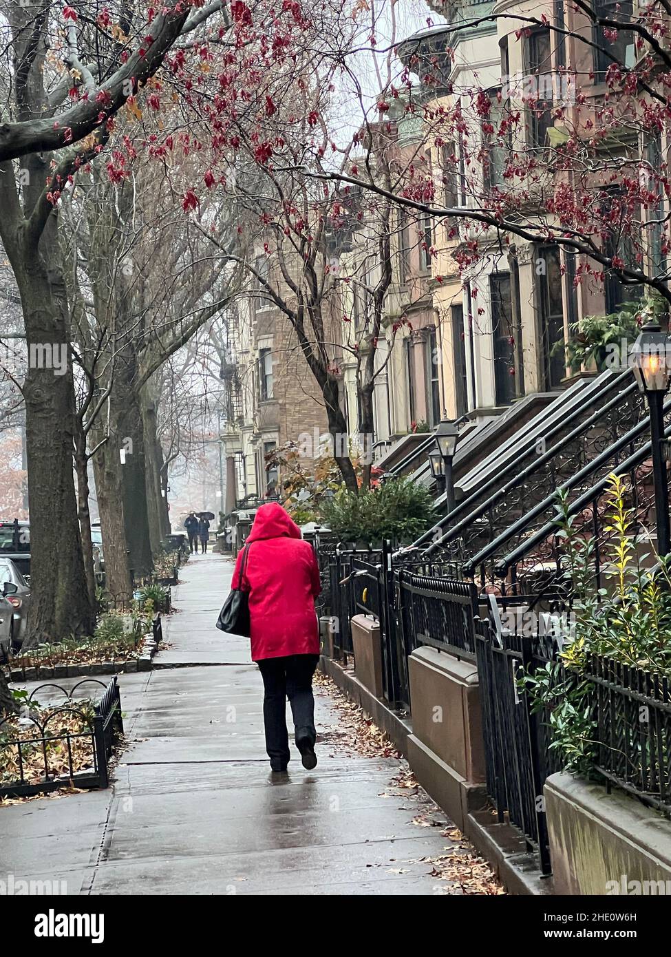 Ruhiger regnerischer Morgen in einer berühmten Wohnstraße im Park Slope-Viertel von Brooklyn, New York. Stockfoto