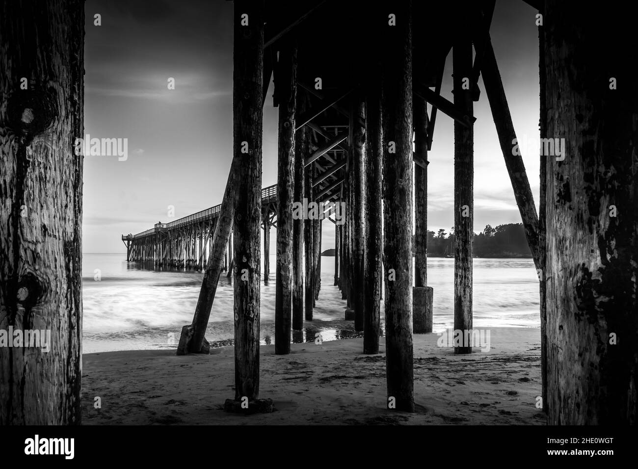 Birnenaufnahme in Graustufen am Strand. Kalifornien, USA Stockfoto