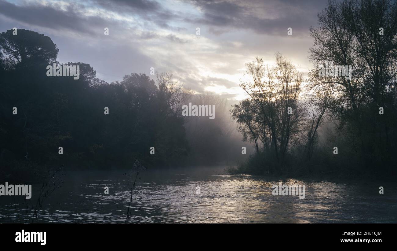 Sonnenaufgang Dämmerung Nebellandschaft auf einem Fluss Wasser Szene Wald Holz Silhouette Stockfoto