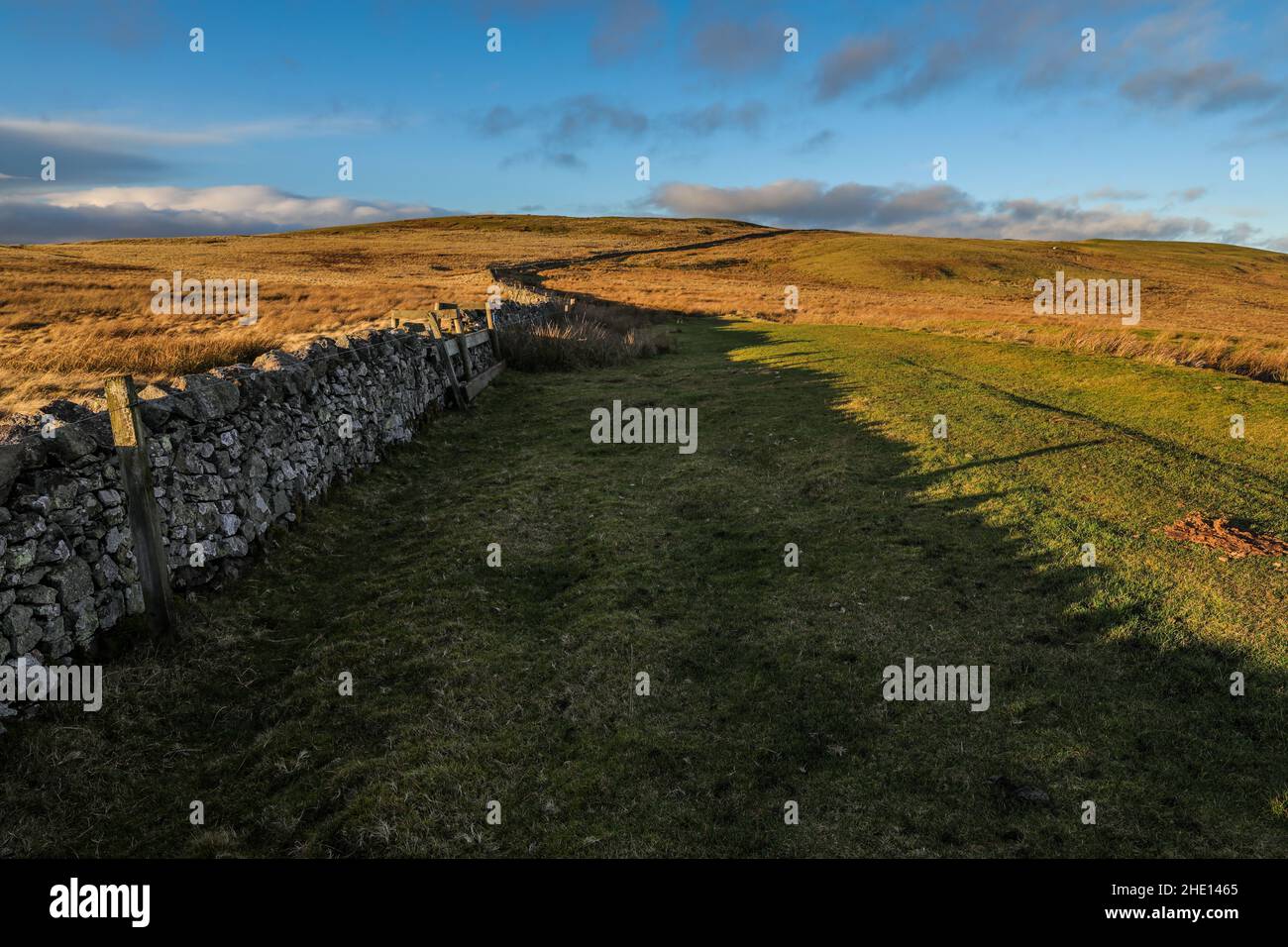 Dere Street Roman Road in der Nähe von Pennymuir Roman Camps etwas über der schottischen Grenze Stockfoto
