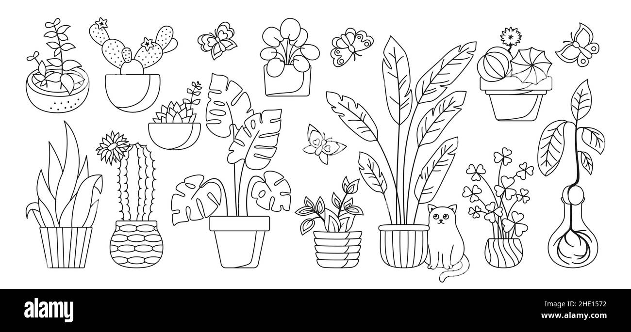 Hauspflanze im Topf, dekoratives Doodle-Set. Exotischer linearer Zimmerpflanzen Blumentopf für den Innenbereich. Botanisches Haus innen blühende Pflanzen, Blume, Kaktus, Monstera, Aloe, Keramik. Isolierter flacher Vektor Stock Vektor