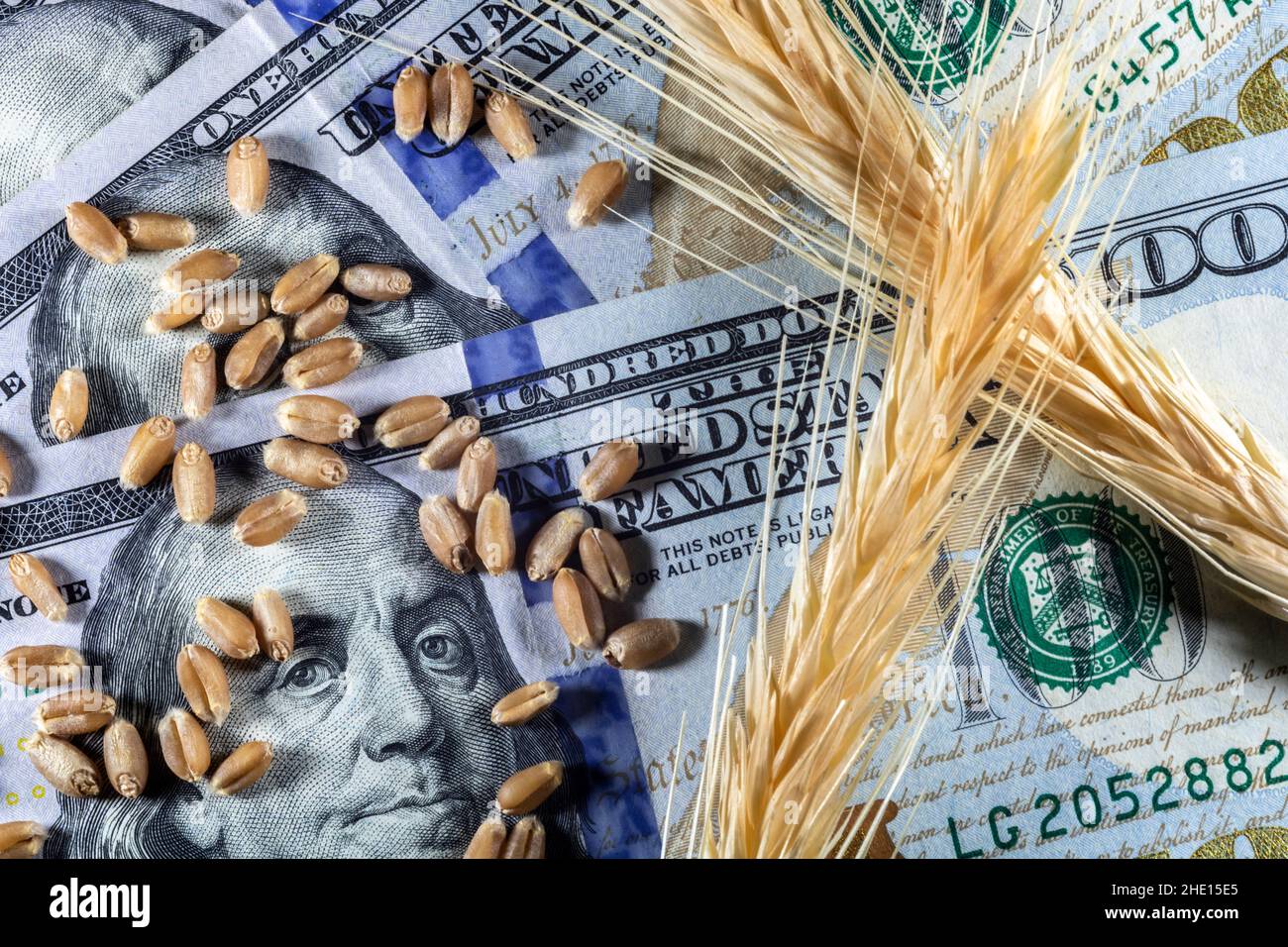 US-Dollar und reife Ohren und Samen von gelbem Weizen in Brasilien Stockfoto