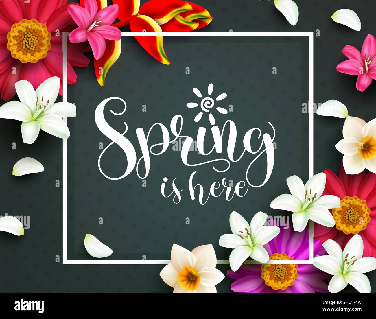 Frühling Blumen Vektor Vorlage Hintergrund. Spring Typography Text in weißem Rahmen mit Lilie und Gänseblümchen Blütenblätter Element für die Blumenblüte Saison. Stock Vektor