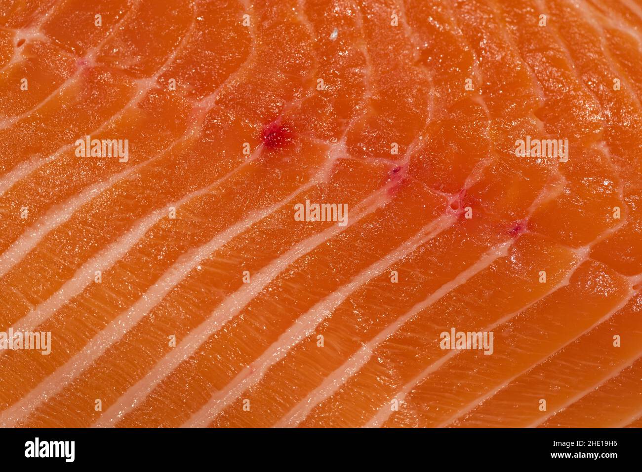 Frisches Lachs im Hintergrund für Sushi Stockfoto