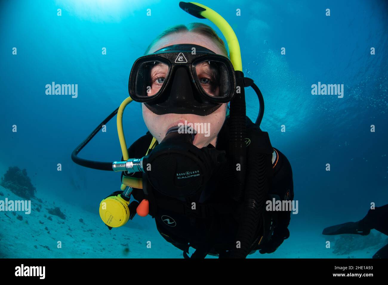 Ein Porträt eines Tauchers unter Wasser im Roten Meer, Ägypten. Stockfoto