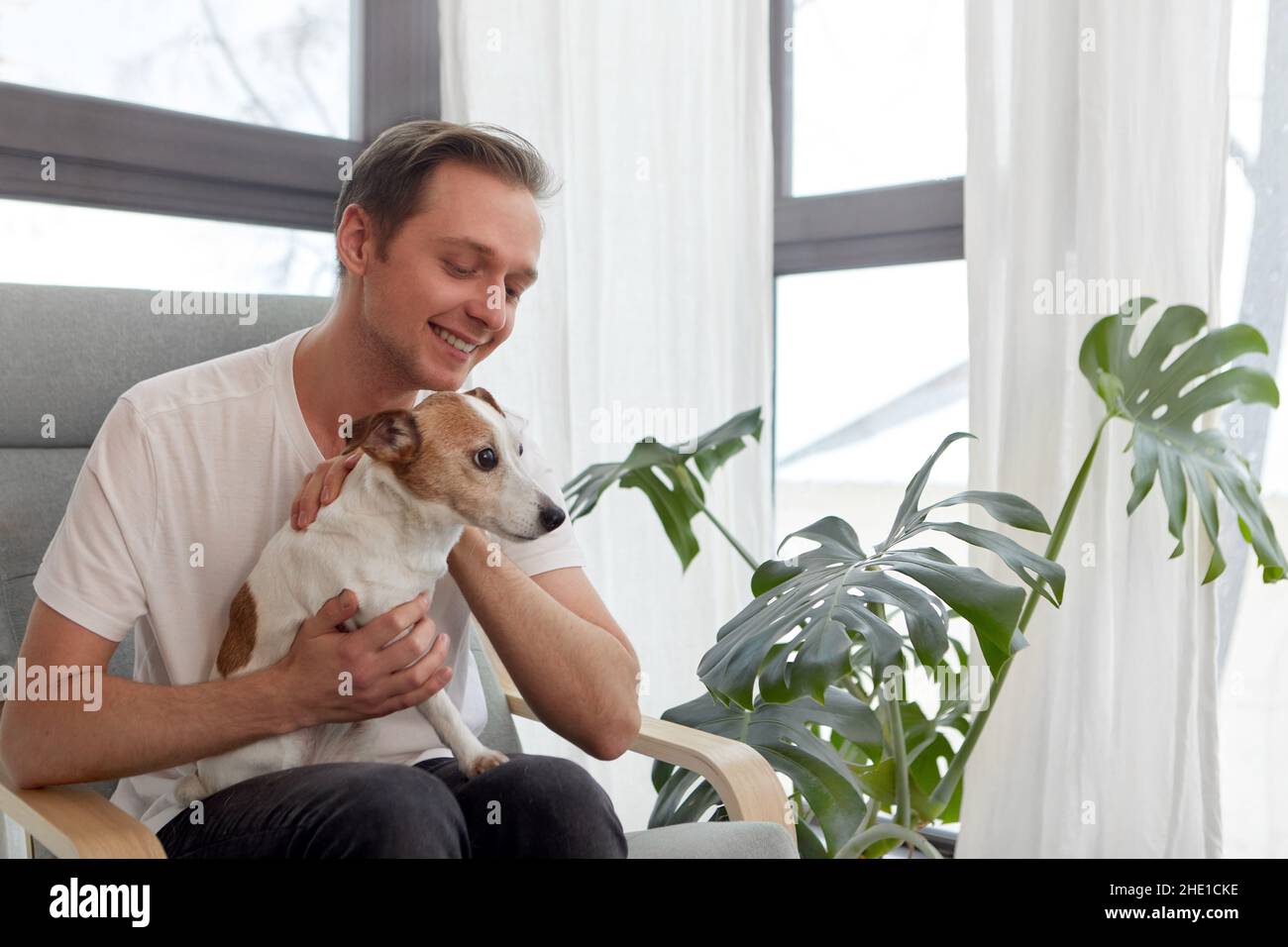 Sanfter positiver männlicher Besitzer, der im Sessel sitzt und den entzückenden Jack Russell Terrier neben dem Fenster und dem Blumentopf mit Monstera streicheln kann Stockfoto