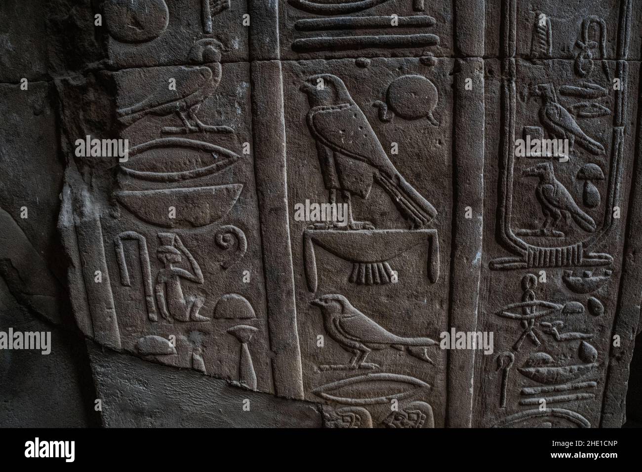 Verschiedene Vögel, vor allem der Falke, erscheinen unter den alten ägyptischen Hieroglyphen auf der Tempelmauer in Edfu, Ägypten. Stockfoto