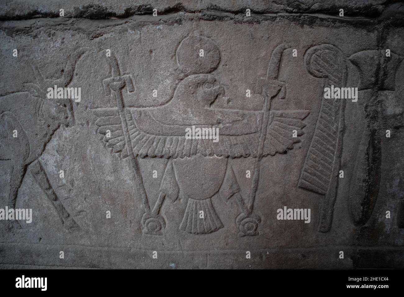 Ein Falke mit Speeren und ein Stier erscheinen unter den Hieroglyphen auf der Horus-Tempelmauer in Edfu, Ägypten. Stockfoto