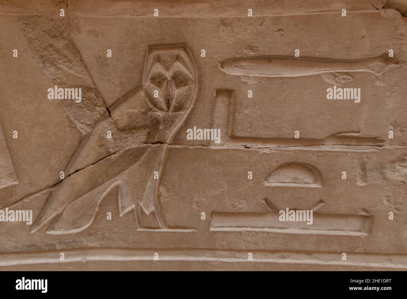 Eine Darstellung einer Eule unter ägyptischen Hieroglyphen an der Steinmauer des Tempels der hatschepsut in Ägypten. Stockfoto