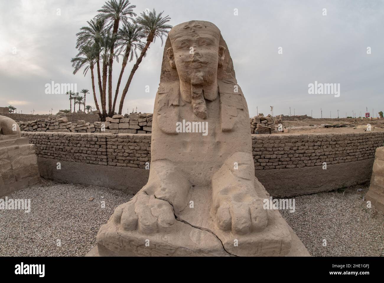 Eine Statue einer Sphinx an der Allee der Sphinxes in Luxor, Ägypten. Stockfoto