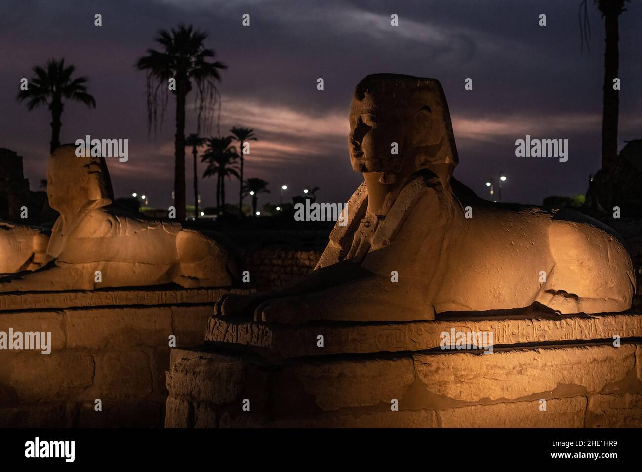 Die Allee der Sphinxes oder RAMS Road (El Kebash), ein historisches Denkmal mit Statuen in Luxor, Ägypten nach Einbruch der Dunkelheit von Lichtern beleuchtet gesäumt. Stockfoto