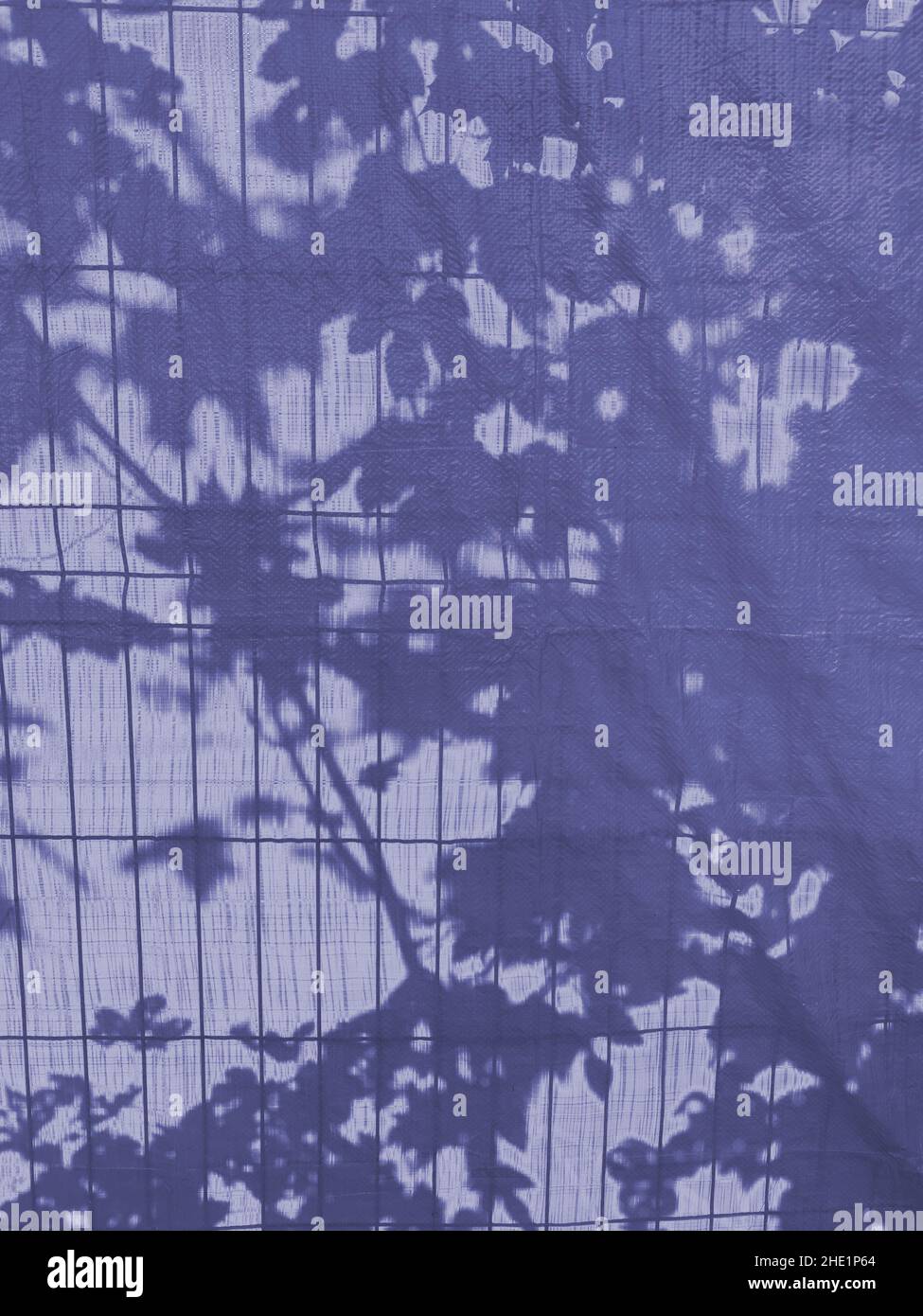 Schatten der Blätter in sehr peri Farbe getönte Stockfoto