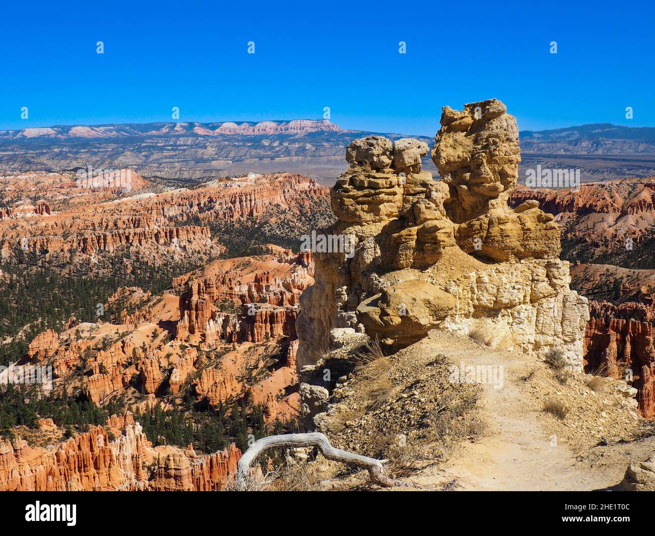 Bryce Canyon Nationalpark, Utah USA Stockfoto