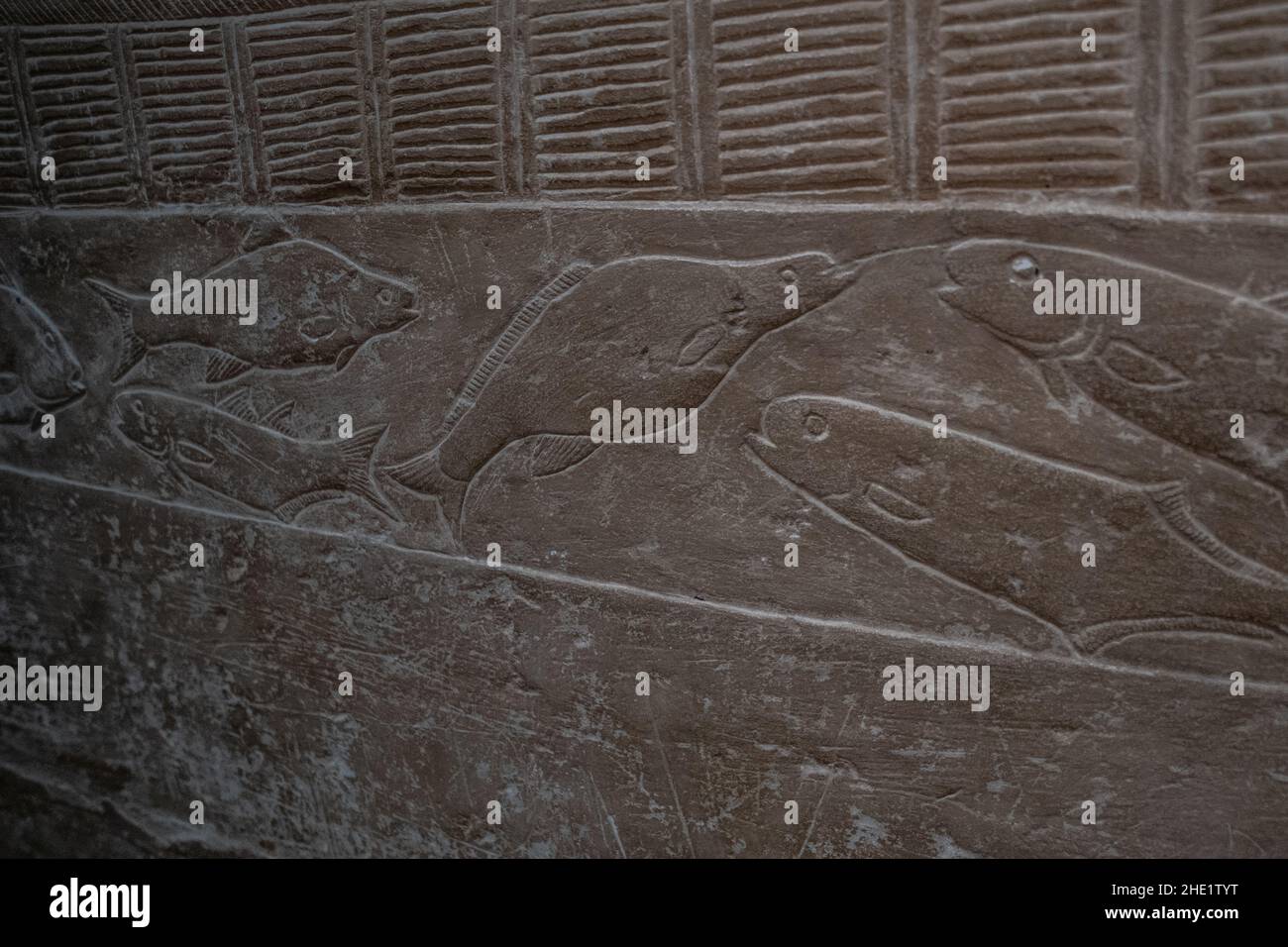 altägyptische Kunstwerke in der Nekropole von Saqqara, einer Steinreliefskulptur, die Fische im Nil in Ägypten darstellt. Stockfoto