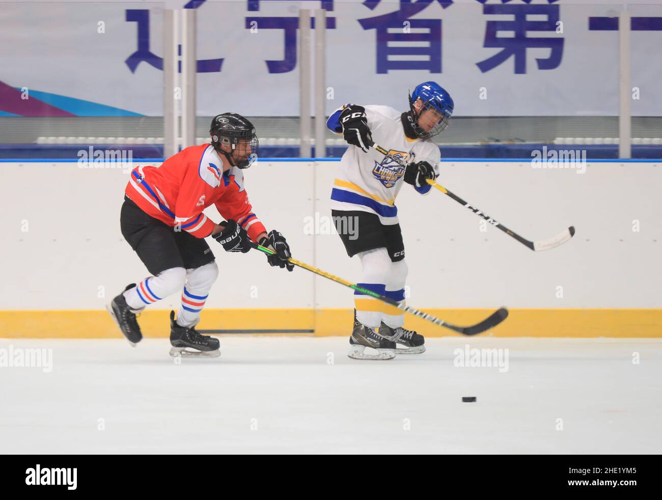 (220108) -- SHENYANG, 8. Januar 2022 (Xinhua) -- Ryan (L) spielt Eishockey mit Freunden in Shenyang, nordöstlich der Provinz Liaoning, 6. Januar 2022. Ryan ist ein 38-jähriger Kanadier, der in Shenyang lebt. Ryan kam 2013 zum ersten Mal nach China und arbeitet nun als Ingenieur bei einem Unternehmen in Shenyang. Ryan ist ein begeisterter Wintersportler, vor allem Eishockey. Durch das wöchentliche Eishockey-Training hat sich Ryan mit vielen lokalen Eishockey-Liebhabern angefreundet. Während sich die Olympischen Spiele 2022 in Peking nähern, freut sich Ryan auf eine großartige Leistung aller Athleten. Er wünscht dem Pekinger WI Stockfoto