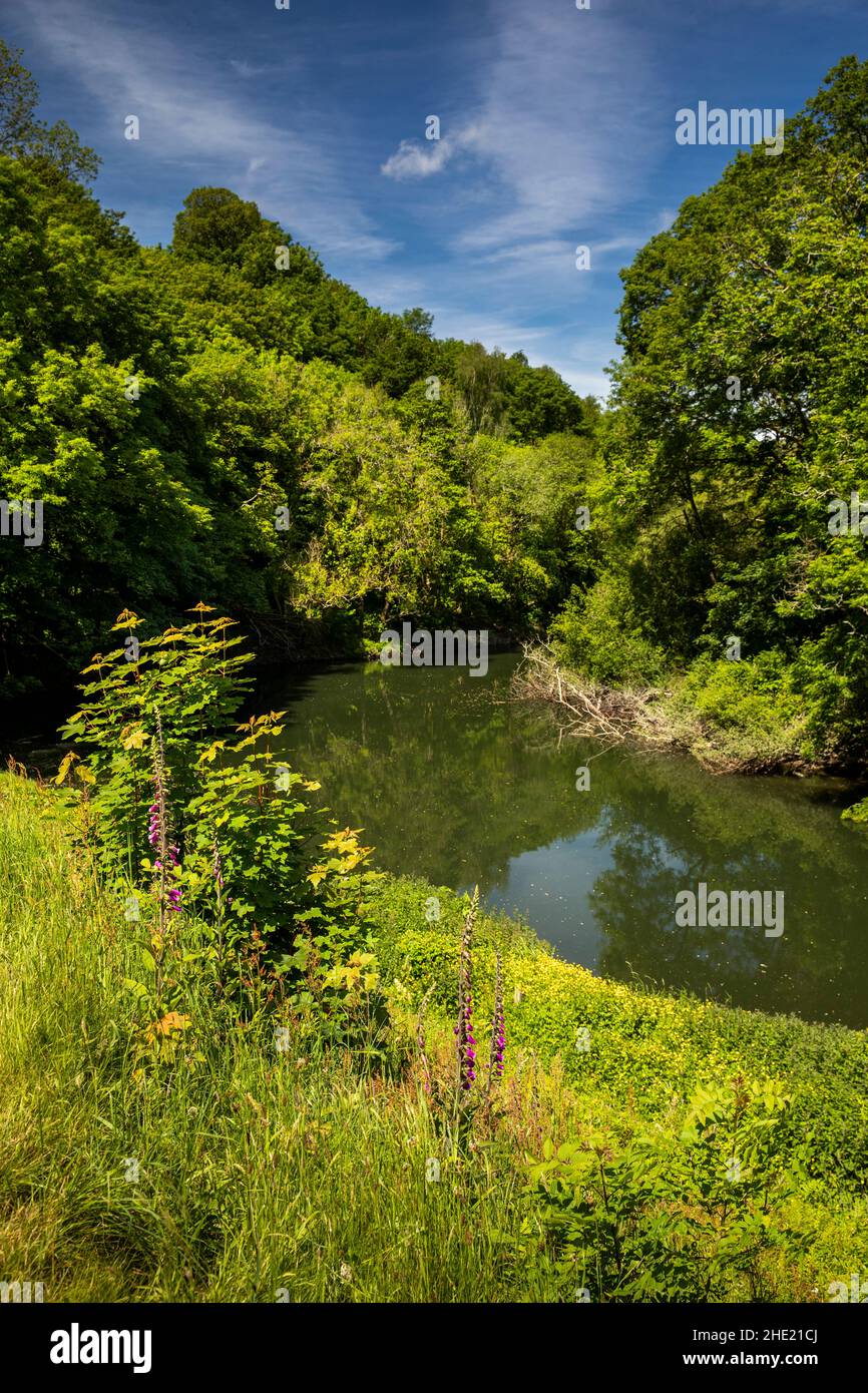 Großbritannien, Wales, Pembrokeshire, Cilgerran, River Teifi Stockfoto