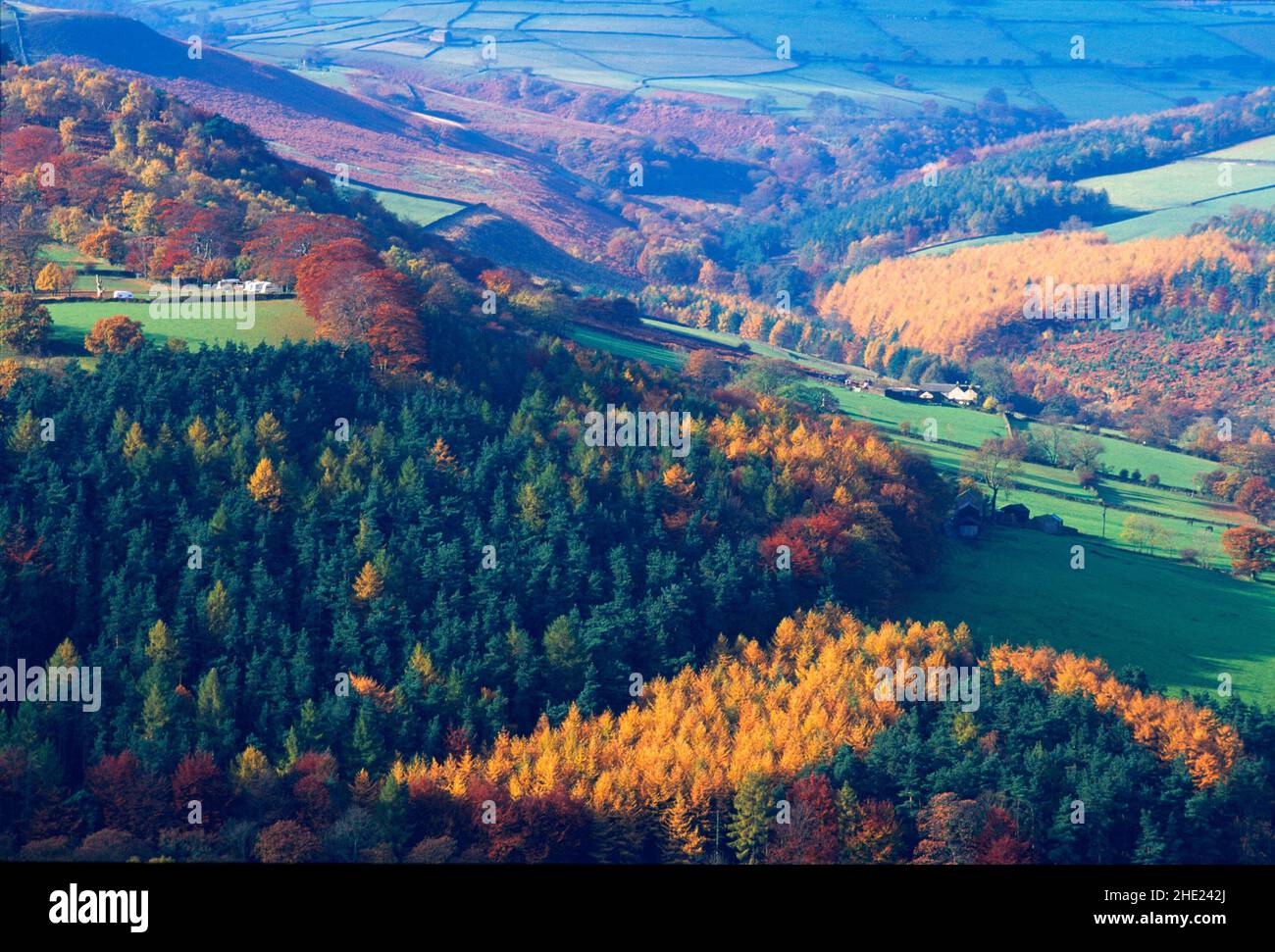 Großbritannien, Derbyshire, Peak District, Herbst, Stockfoto