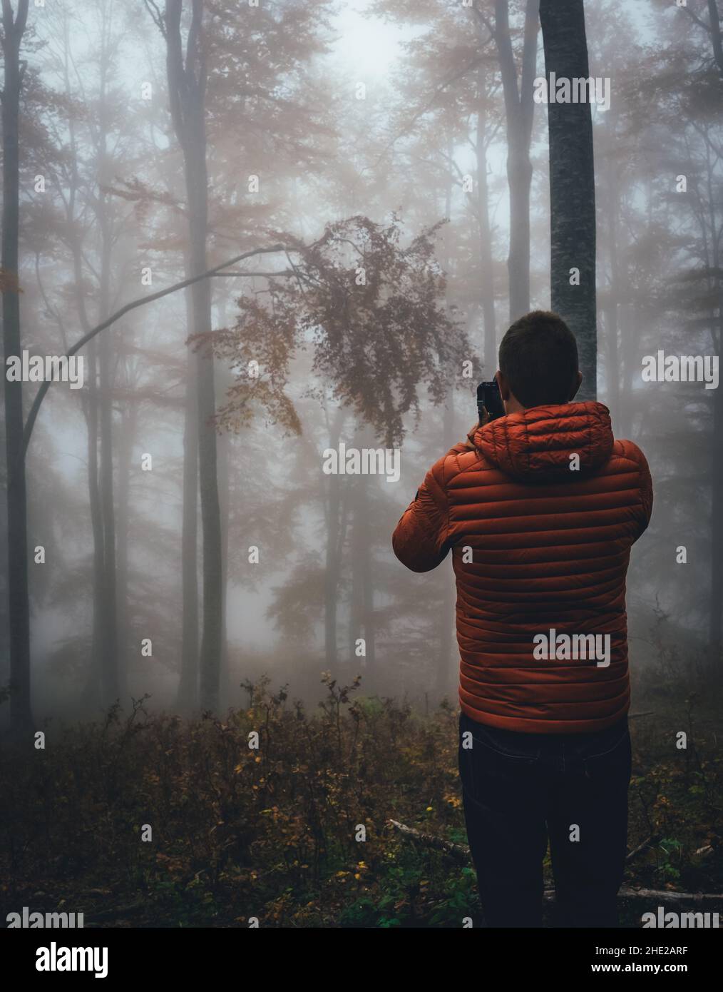 Junger bärtiger Wanderer in orangefarbener Jacke, der mit Nebel und Nebel Fotos im Wald gemacht hat. Rückansicht des Fotografen im Feld, der die Aussicht genießt. Stockfoto