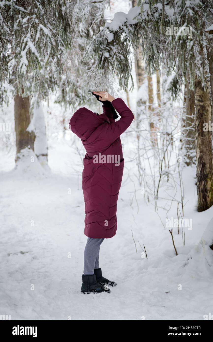Ein Mädchen in einer burgunderroten Daunenjacke fotografiert auf einem Mobiltelefon einen schneebedeckten Wald. Stockfoto