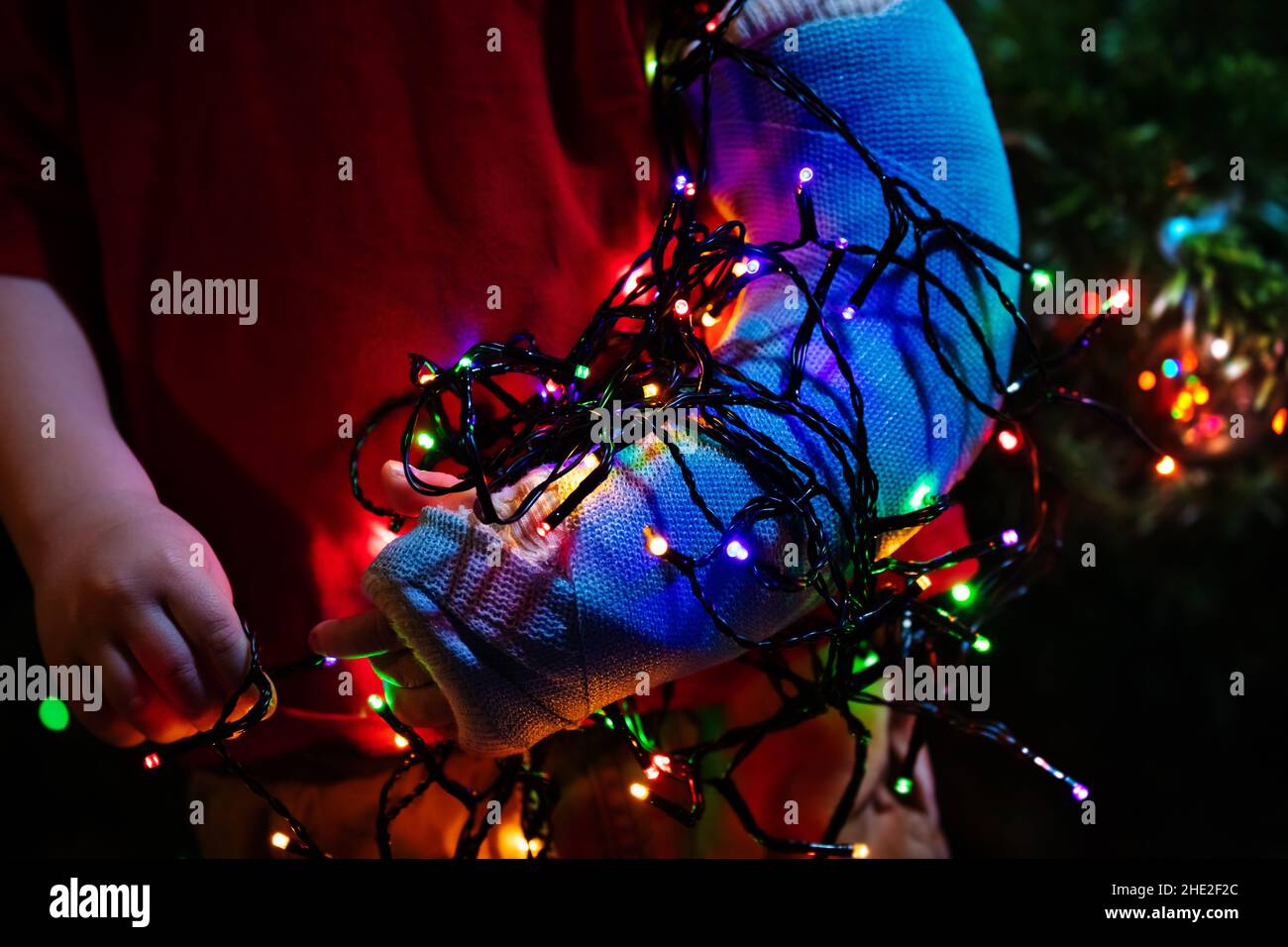 Portrait von Kleinkindern zerbrochene Hand von Weihnachtsbaum Stockfoto Portrait von Kleinkindern zerbrochene Hand von Weihnachtsbaum Stockfoto