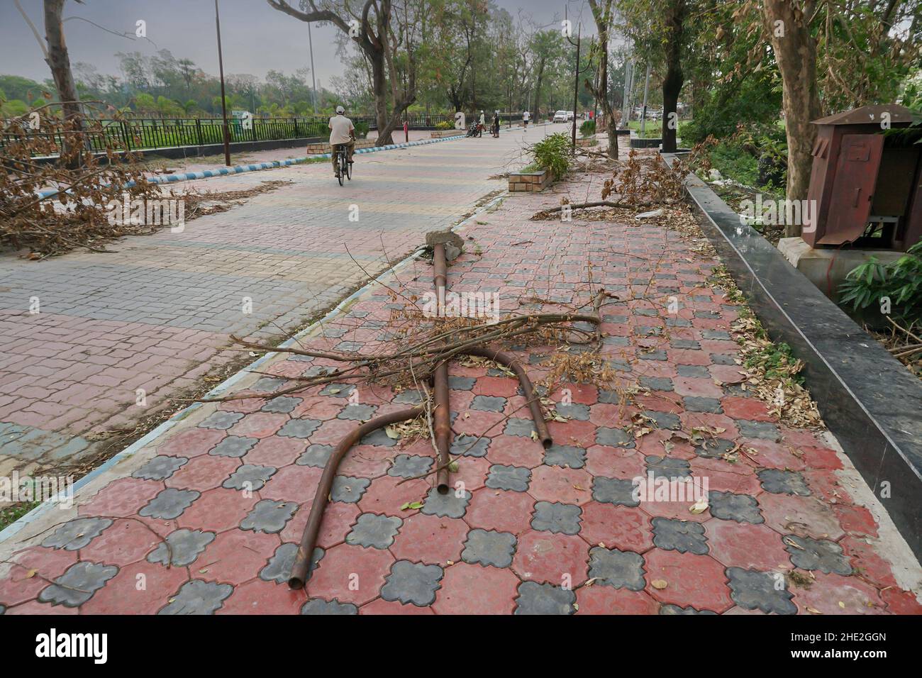 Howrah, Westbengalen, Indien - 31.. Mai 2020 : der Super-Zyklon Amphan entwurzelte die Trifala-Ampel, die fiel und den Straßenbelag blockierte. Die Verwüstungsszene. Stockfoto