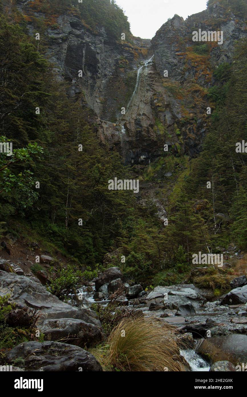 Waitonga Falls in der Region Manawatu-Wanganui auf der Nordinsel Neuseelands Stockfoto