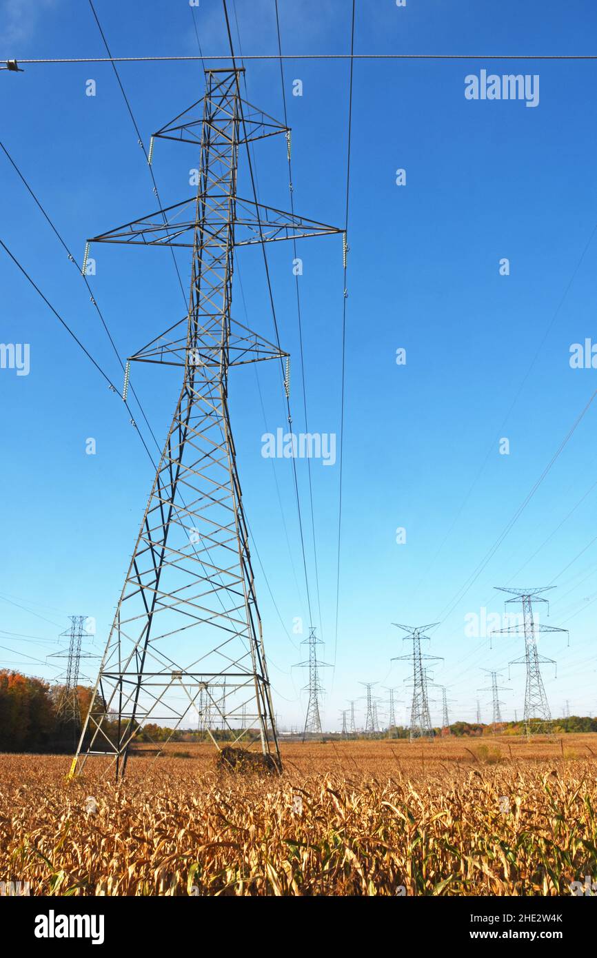 Strommasten in einem Feld Stockfoto