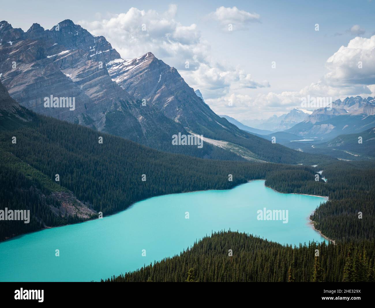 Peyto Lake im Sommer, Banff National Park, Alberta, Kanada. Stockfoto