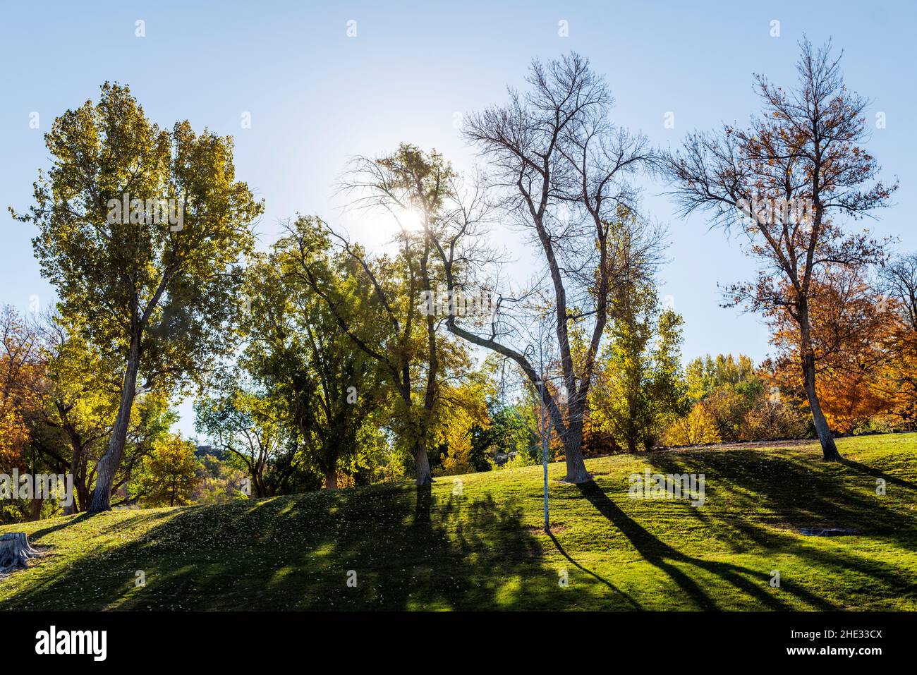 Wunderschöne Herbstfarben; Shoshone Falls Park; Shoshone Falls Wasserkraftprojekt; Snake River Canyon; in der Nähe von Twin Falls; Idaho; USA Stockfoto