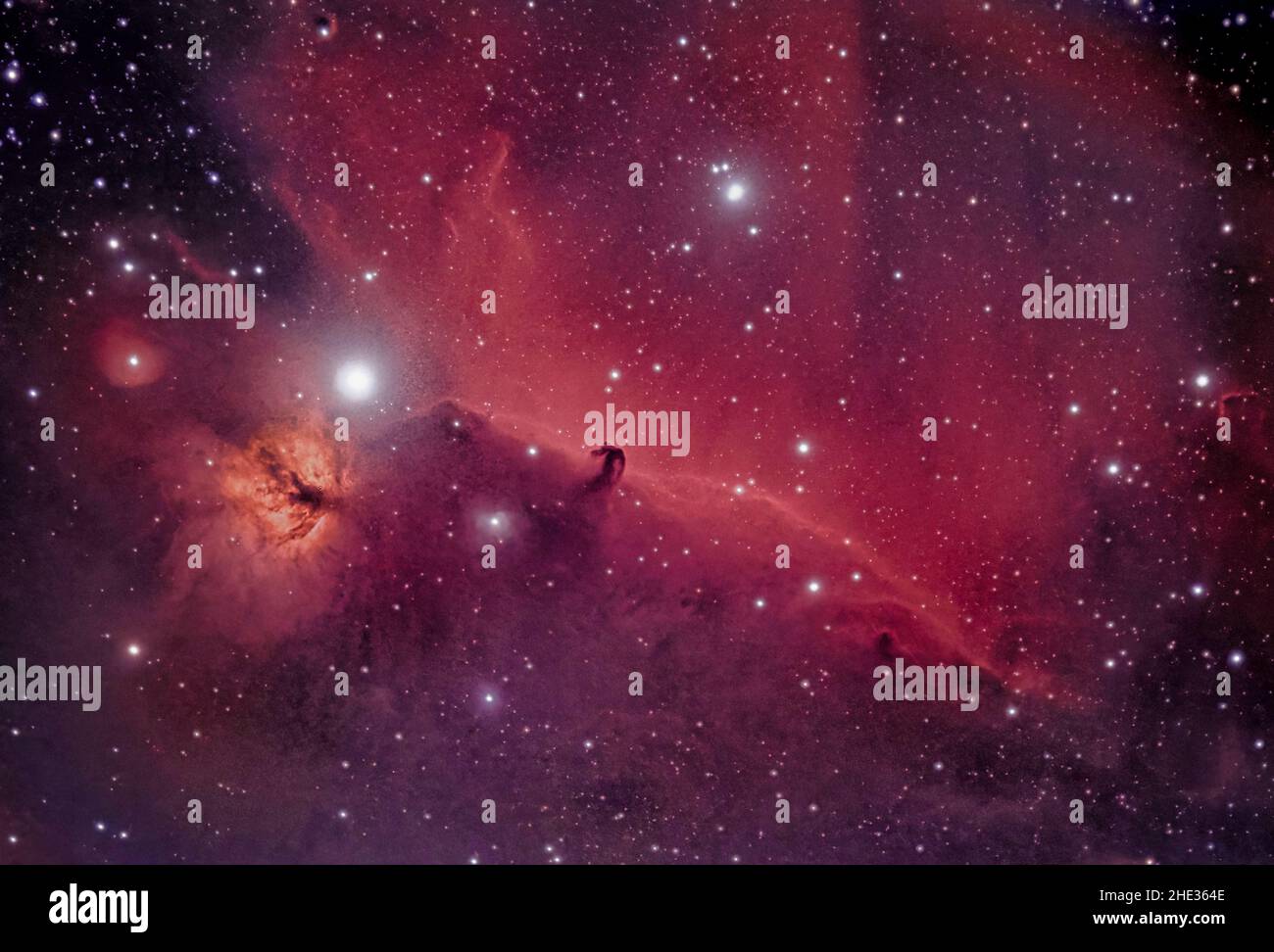 Pferdekopf-Nebel Stockfoto