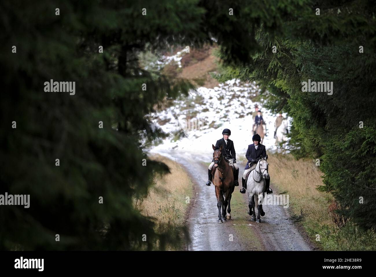 Innerleithen, Großbritannien. 08th Januar 2022. The Lauderdale Hunt, am Samstag, den 08. Januar 2022 mit berittenen Anhängern, während Sie in den Moorfoot Hills im Leithen Water Valley außerhalb von Innerleithen in den Scottish Borders sind ( Quelle: Rob Gray/Alamy Live News Stockfoto