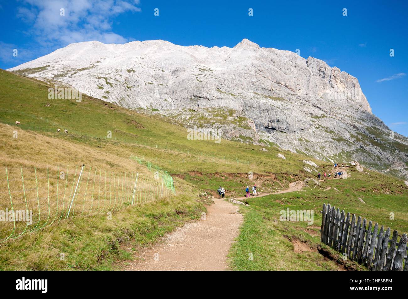Blick auf den Sassopiatto, Dolomiten, Trentino-Südtirol, Italien Stockfoto