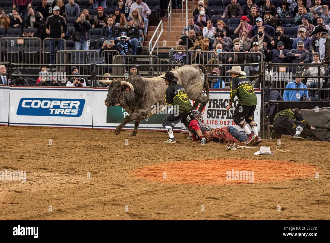 NEW YORK, NY - 7. JANUAR: Silvano Alves fährt am 7. Januar 2022 im Madison Square Garden in New York, NY, USA, 86 Punkte in der ersten Runde des PBR Monster Energy Professional Bull Riders Events. (Foto von Matt Davies/PxImages) Credit: Px Images/Alamy Live News Stockfoto