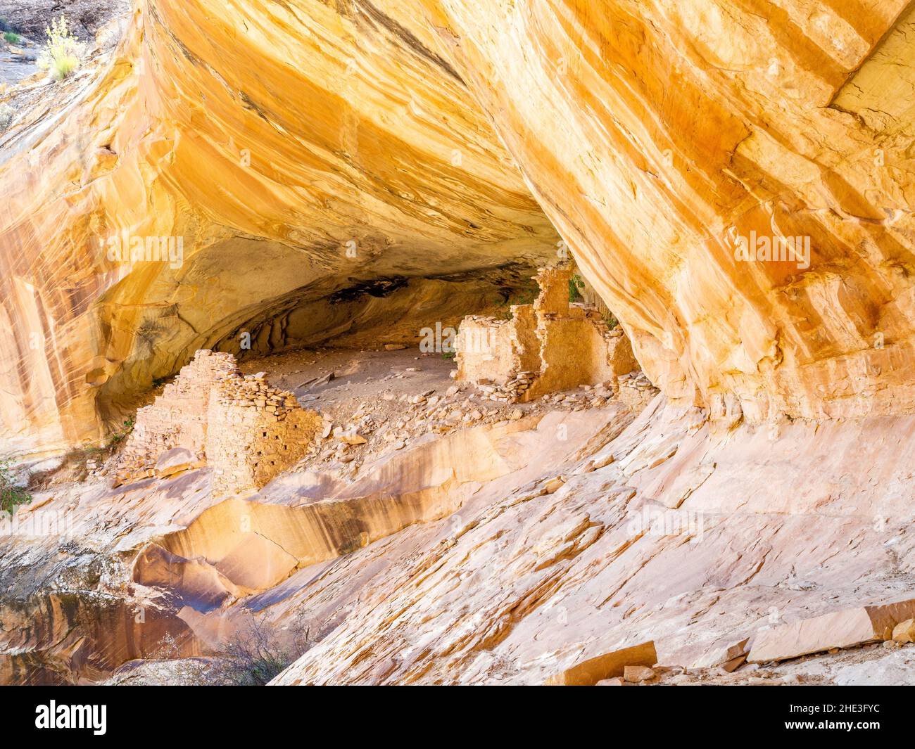 Die Ruinen der Monarch Cave-Klippenanlage liegen in einer farbenfrohen Nische der Comb Ridge-Formation westlich von Lower Butler Wash und der County Road 262 nordwestlich von Bluff, Utah. Stockfoto