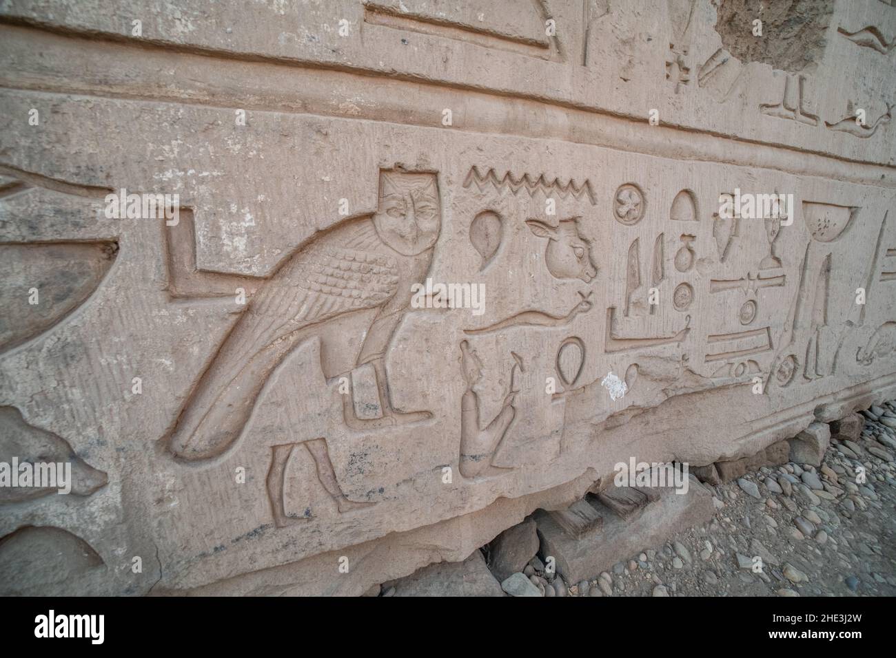 Eine Eule und andere alte ägyptische Hieroglyphen erscheinen auf einer Steinmauer im Kom Ombo Tempel in Ägypten. Stockfoto