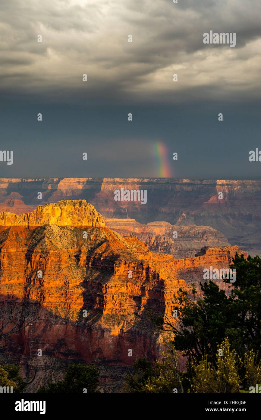 Grand Canyon mit Sonnenlicht auf Klippen mit dunklen Wolken und Regenbogen in der Entfernung von Point Sublime am Nordrand des Grand Canyon National Park AZ Stockfoto