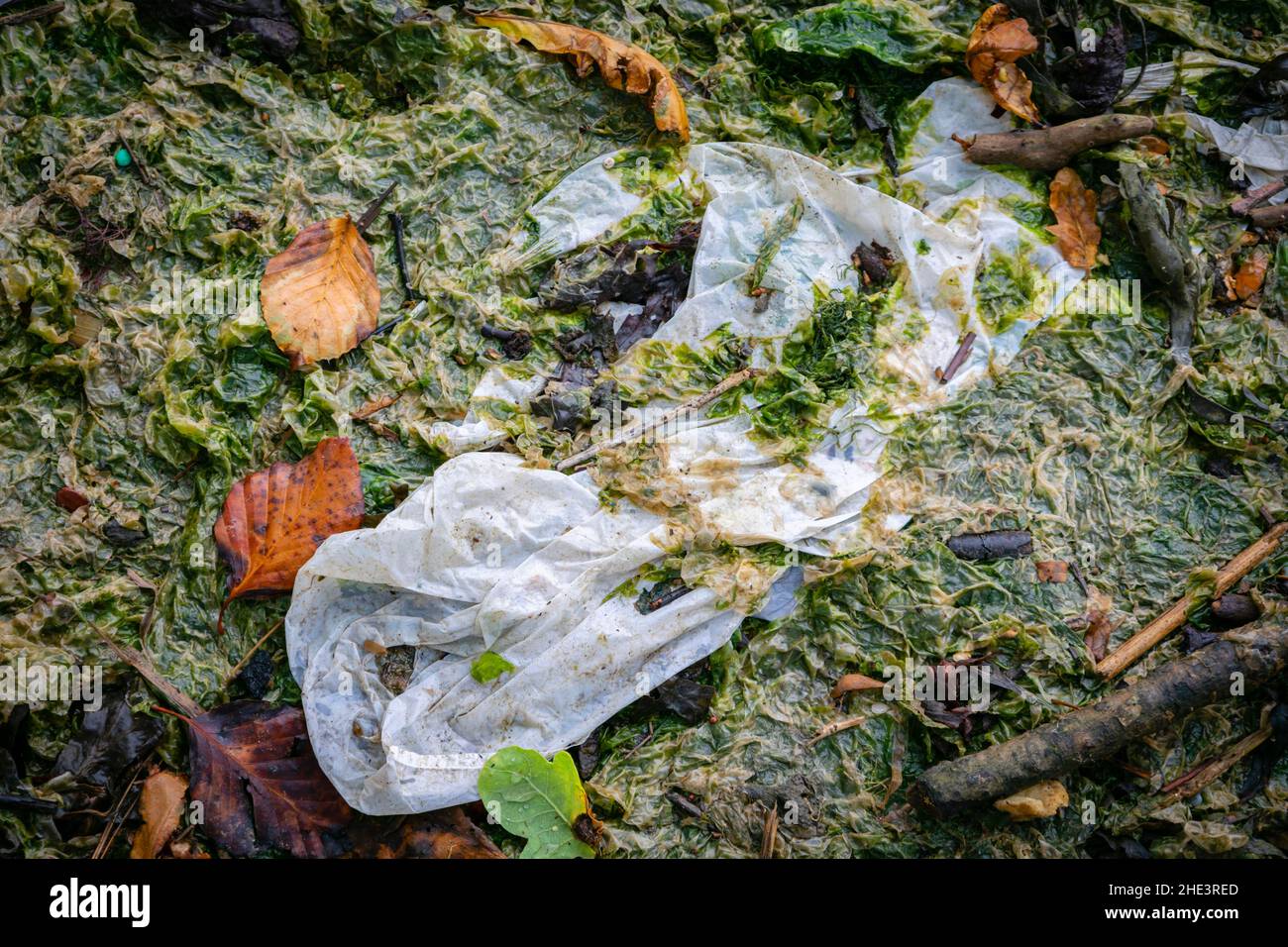 Plastikverschmutzungskrise, Umweltschäden im britischen Naturschutzgebiet Stockfoto