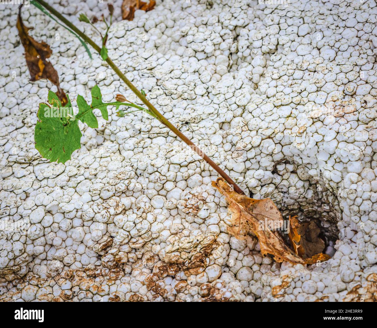 Natur in der Krise, Plastikverschmutzung Stockfoto