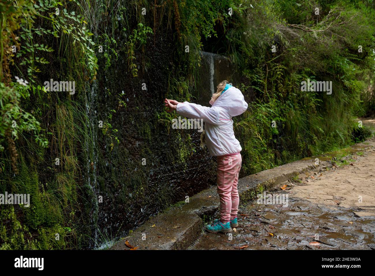 Nettes Mädchen fangen Wassertropfen im Regenwald. Stockfoto